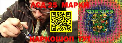 прущие грибы Кандалакша