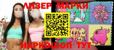 прущие грибы Кандалакша