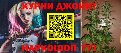 прущие грибы Кандалакша