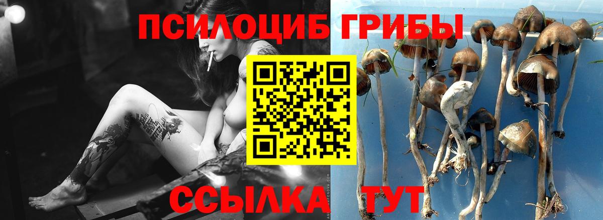 Галлюциногенные грибы мицелий Кувандык